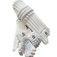 Cricket Protective Gear