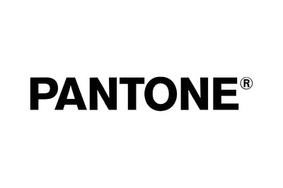 بانتون logo