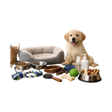 DOG & GO
