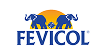 Fevicol