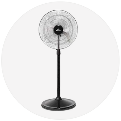 Fans