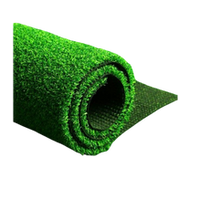 Artificial Grass
