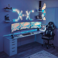 Gaming Desks