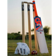 Cricket logo