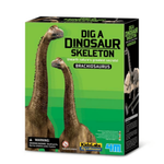 4M | Brachiosaurus Skeleton Excavation | 48603237