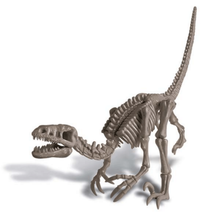 4M | Velociraptor Skeleton Excavation | 48613234