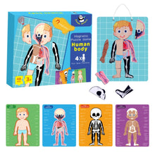 PANDA JUNIOR | Magnetic Puzzle Game -Human Body PJ008-1 | 49700293