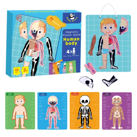 PANDA JUNIOR | Magnetic Puzzle Game -Human Body PJ008-1 | 49700293