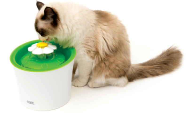 CATIT | Senses 2.0 Flower Fountain