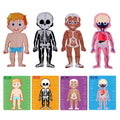 PANDA JUNIOR | Magnetic Puzzle Game -Human Body PJ008-1 | 49700293