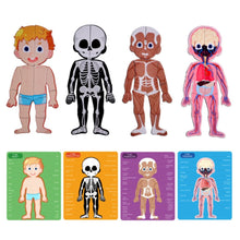 PANDA JUNIOR | Magnetic Puzzle Game -Human Body PJ008-1 | 49700293