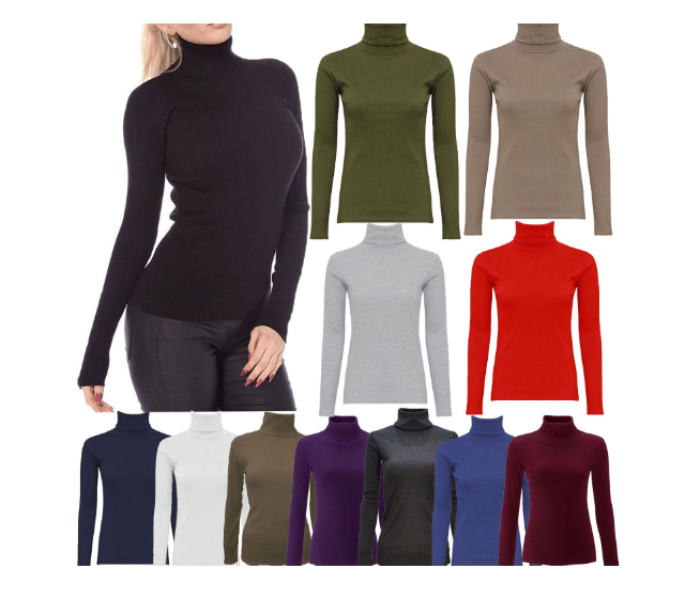 FN Unisex Winter High Neck Full Sleeve T Shirt - Assorted Color | JPM3484