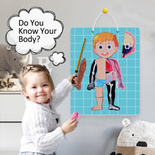 PANDA JUNIOR | Magnetic Puzzle Game -Human Body PJ008-1 | 49700293