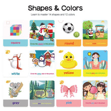 PANDA JUNIOR | Wiple-Clean Early Learning Cards  - Shapes & Colors PJ003-2 | 49700231
