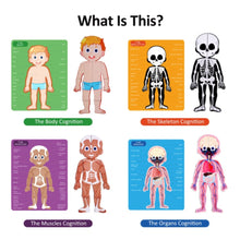 PANDA JUNIOR | Magnetic Puzzle Game -Human Body PJ008-1 | 49700293