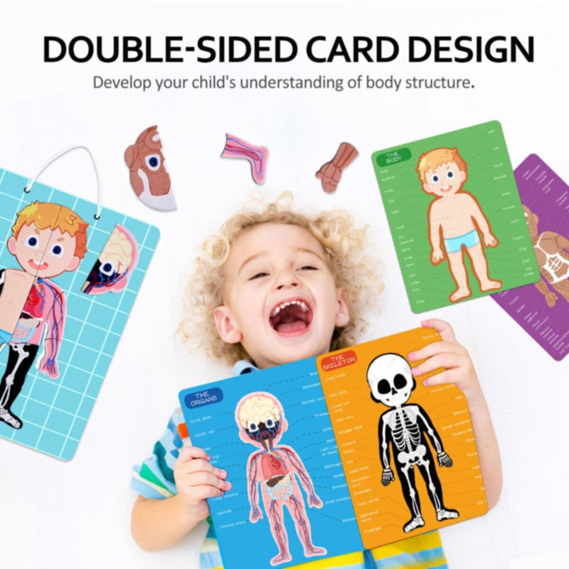PANDA JUNIOR | Magnetic Puzzle Game -Human Body PJ008-1 | 49700293
