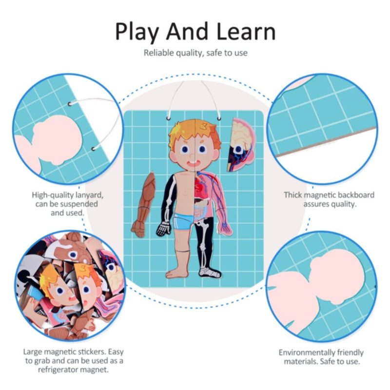 PANDA JUNIOR | Magnetic Puzzle Game -Human Body PJ008-1 | 49700293