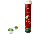 Universal Home Gardening Slow Release Fertilizer,Universal Slow-Release Organic Fertilizer | JPO0043