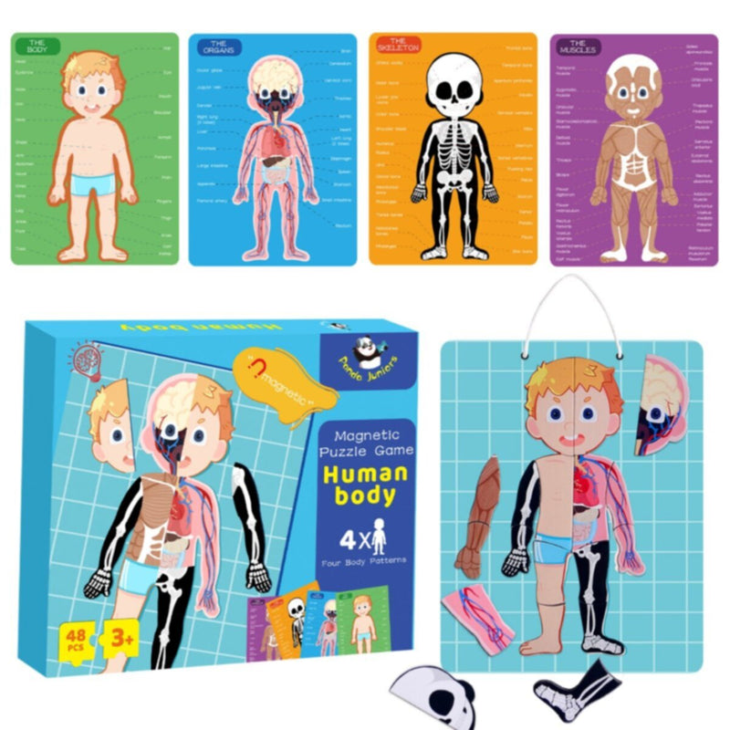 PANDA JUNIOR | Magnetic Puzzle Game -Human Body PJ008-1 | 49700293