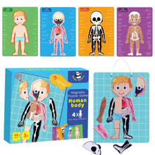 PANDA JUNIOR | Magnetic Puzzle Game -Human Body PJ008-1 | 49700293