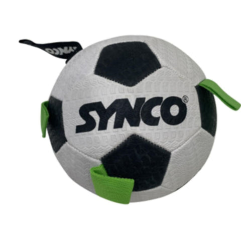 SYNDICATE | Foot Ball Pet Ball Big | 11601269