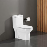 MILANO | Wc Model No.98C S-Trap 250Mm Matte White | 140500100698