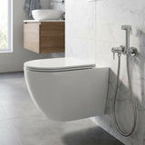 MILANO | Rimless Wc Wall Hung Model 99046 Made In China | 140500100716