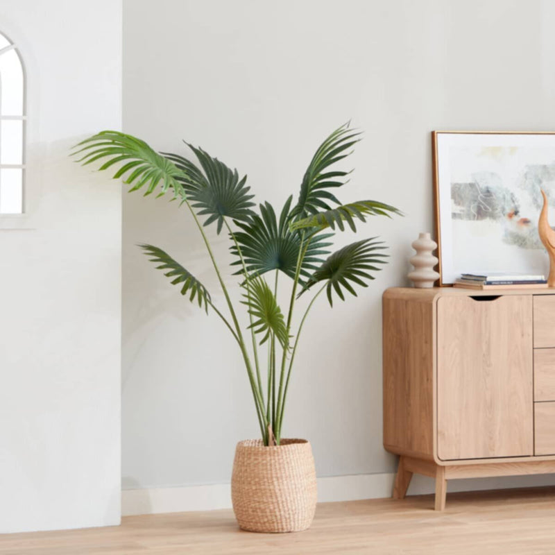 HOMEBOX | Teodoara Fan Palm Tree - 160 cm | 164935332
