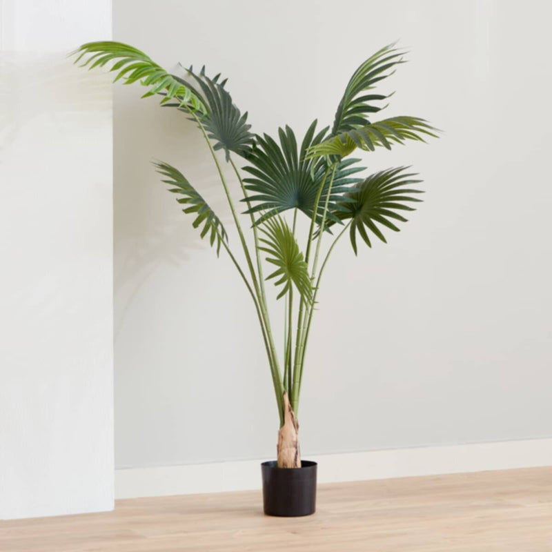 HOMEBOX | Teodoara Fan Palm Tree - 160 cm | 164935332