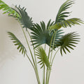 HOMEBOX | Teodoara Fan Palm Tree - 160 cm | 164935332