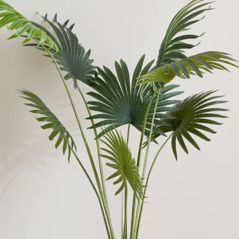HOMEBOX | Teodoara Fan Palm Tree - 160 cm | 164935332