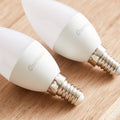 HOMEBOX | Oshtraco 2-Piece LED Candle Bulb Set - 4W E14 360 Lumen Warm White | 165159075