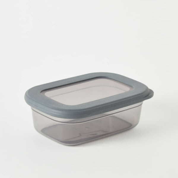 HOMEBOX | Foly Life Flat Storage Container - 400 ml | 165443376