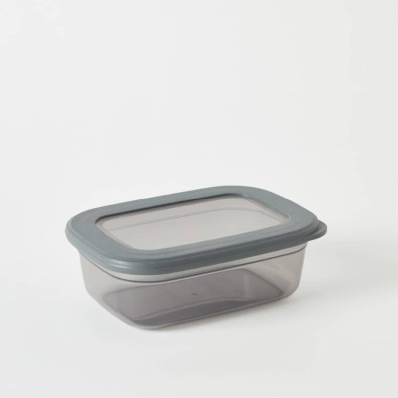 HOMEBOX | Foly Life Flat Storage Container - 670 ml | 165443377