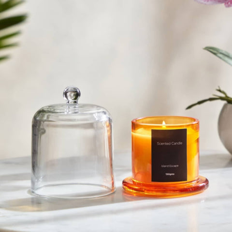 HOMEBOX | Balmy Island Escape Scented Candle - 150 gm | 166070744