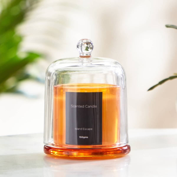 HOMEBOX | Balmy Island Escape Scented Candle - 150 gm | 166070744