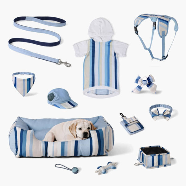 HOMEBOX | Canine Linear Hoodie - Small | 166110842