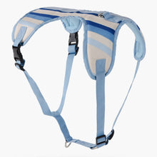 HOMEBOX | Canine Linear Harness - Medium | 166110853