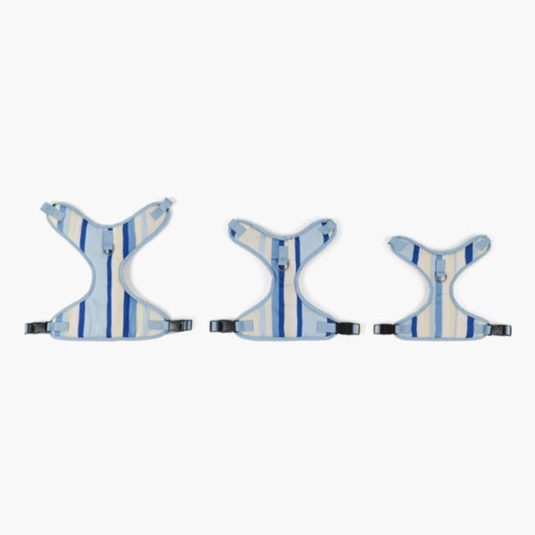 HOMEBOX | Canine Linear Harness - Medium | 166110853