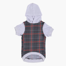 HOMEBOX | Canine Regal Elegance Hoodie - Medium | 166110861