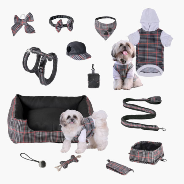 HOMEBOX | Canine Regal Elegance Hoodie - Medium | 166110861