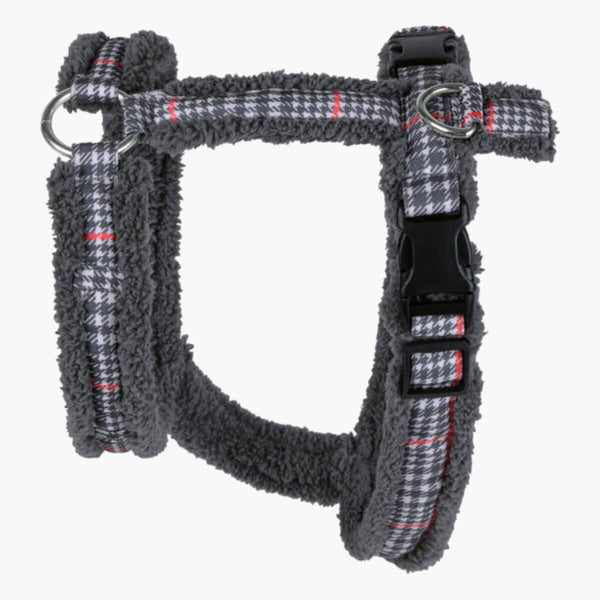 HOMEBOX | Canine Regal Harness - Small | 166110870