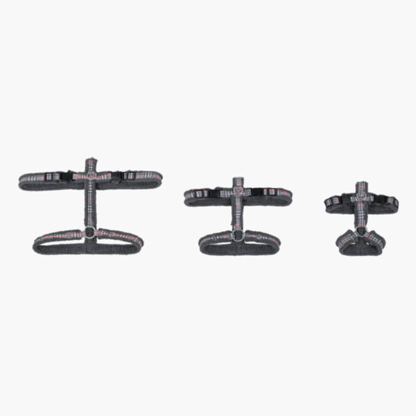 HOMEBOX | Canine Regal Harness - Small | 166110870