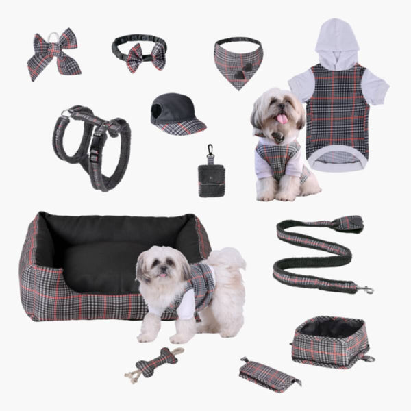HOMEBOX | Canine Regal Harness - Small | 166110870