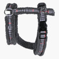 HOMEBOX | Canine Regal Harness - Medium | 166110871