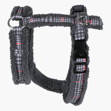 HOMEBOX | Canine Regal Harness - Medium | 166110871
