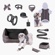 HOMEBOX | Canine Regal Harness - Medium | 166110871