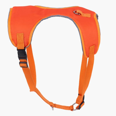 HOMEBOX | Canine Glow-in-the-Dark Pet Harness - Medium | 166110908