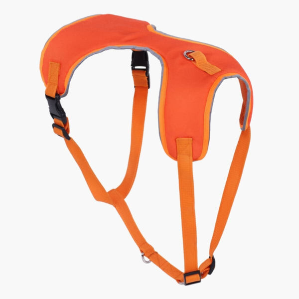 HOMEBOX | Canine Glow-in-the-Dark Pet Harness - Large | 166110909