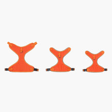 HOMEBOX | Canine Glow-in-the-Dark Pet Harness - Large | 166110909